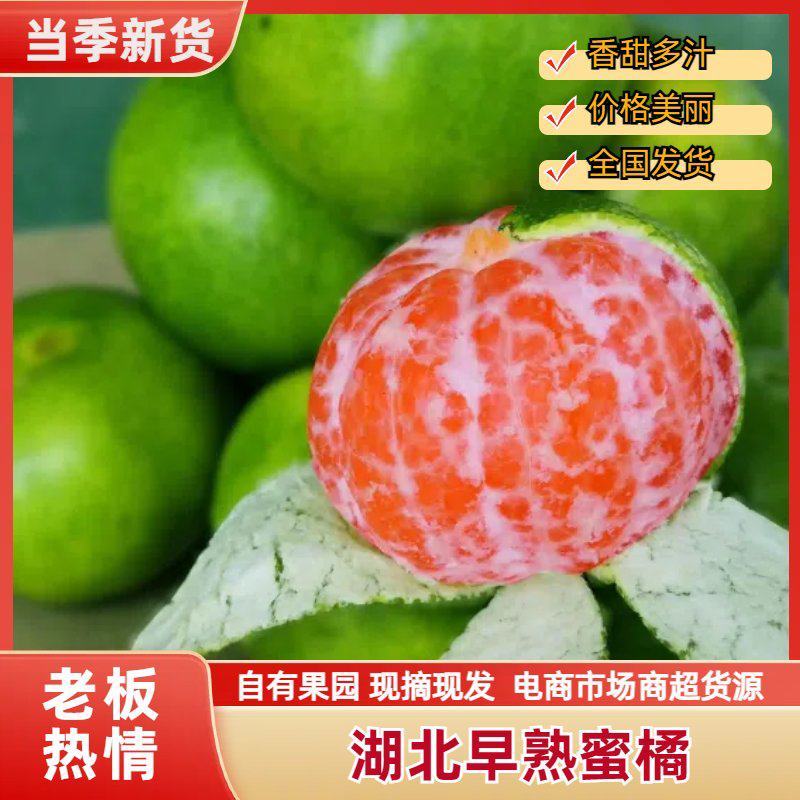 云南特早蜜桔普早蜜橘产地直采诚信实力代办代发全国