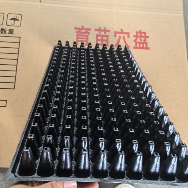 穴盘200穴、多种规格型号瓜果蔬菜育苗盘，货发全国