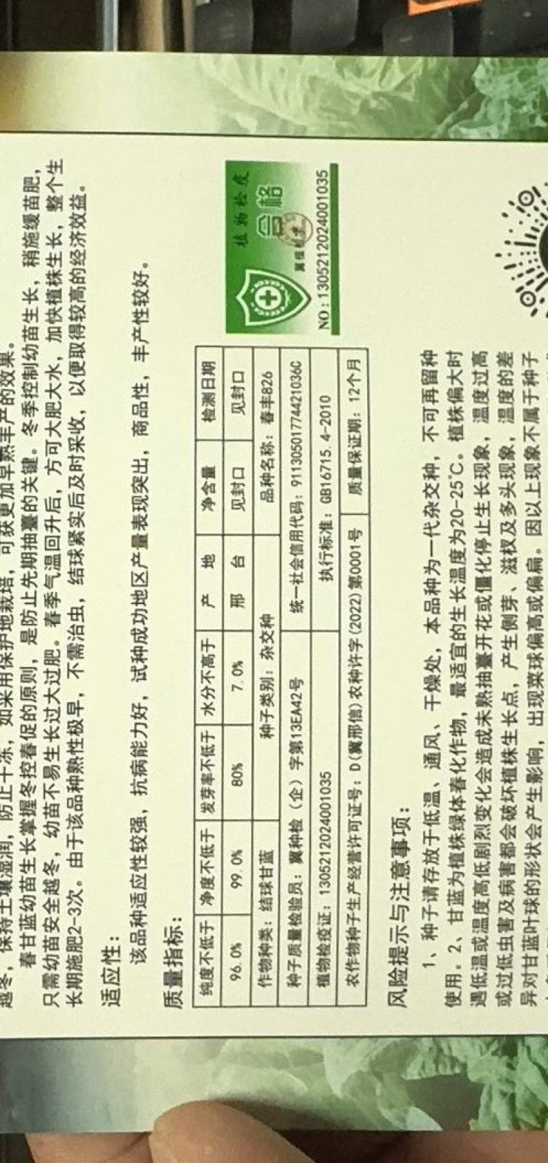 牛心甘蓝种子春丰826大果型甜脆亮绿牛心甘蓝秋季越冬