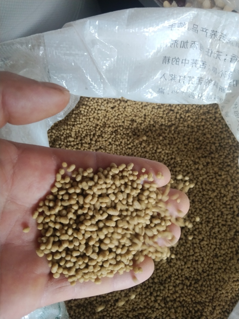 苦荞麦大量供应，品质保证，产地直发
