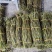正品铁皮石斛鲜条，基地直供源头货源规格可选
