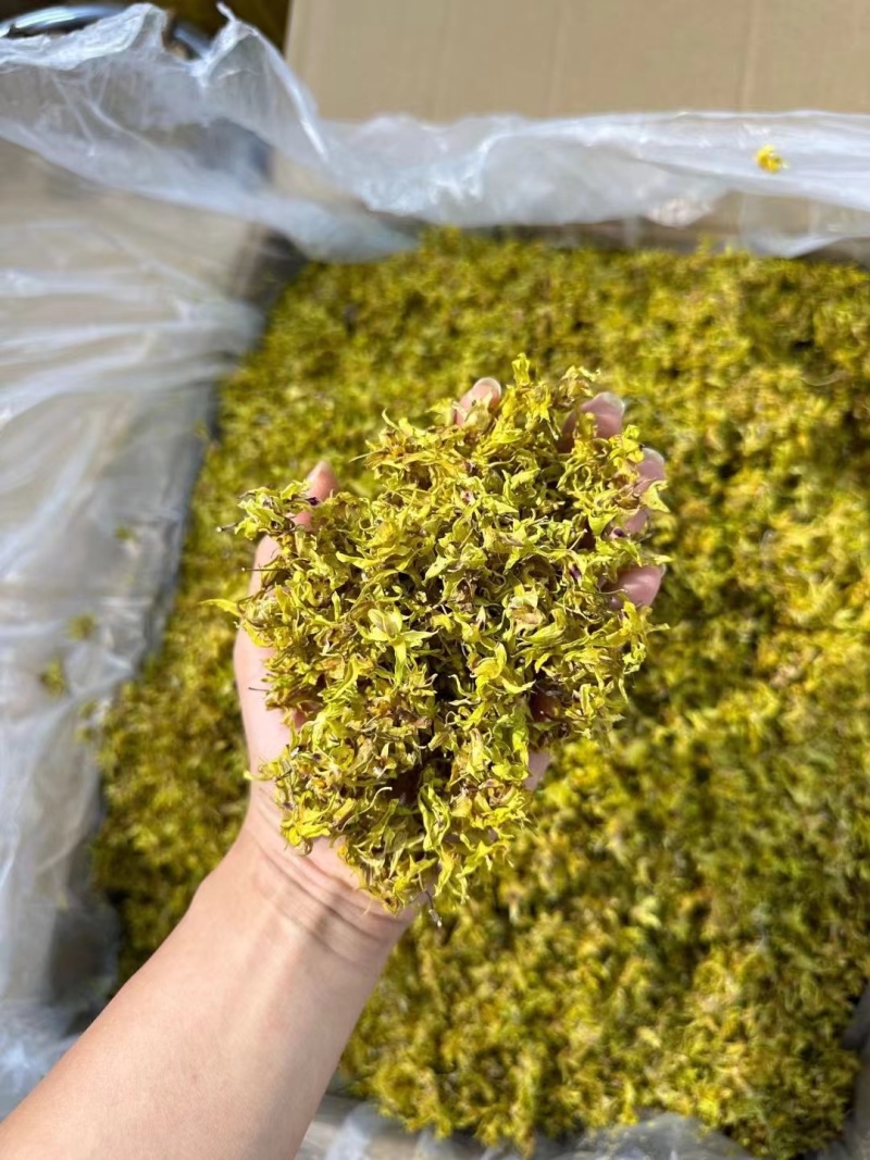 铁皮石斛干花，干度够一捏就碎，花型饱满，
