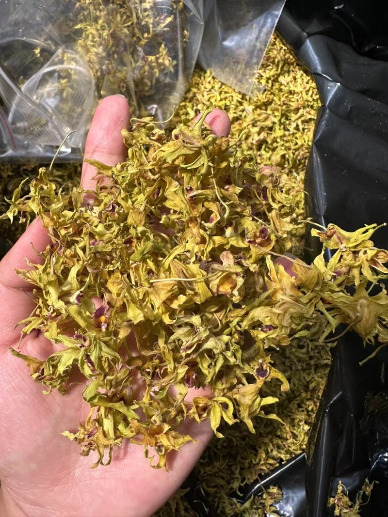 铁皮石斛干花，干度够一捏就碎，花型饱满，