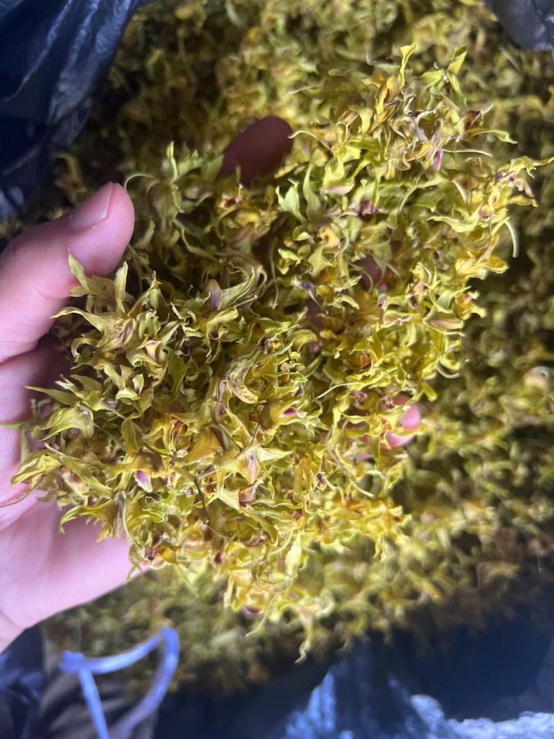 铁皮石斛干花，干度够一捏就碎，花型饱满，