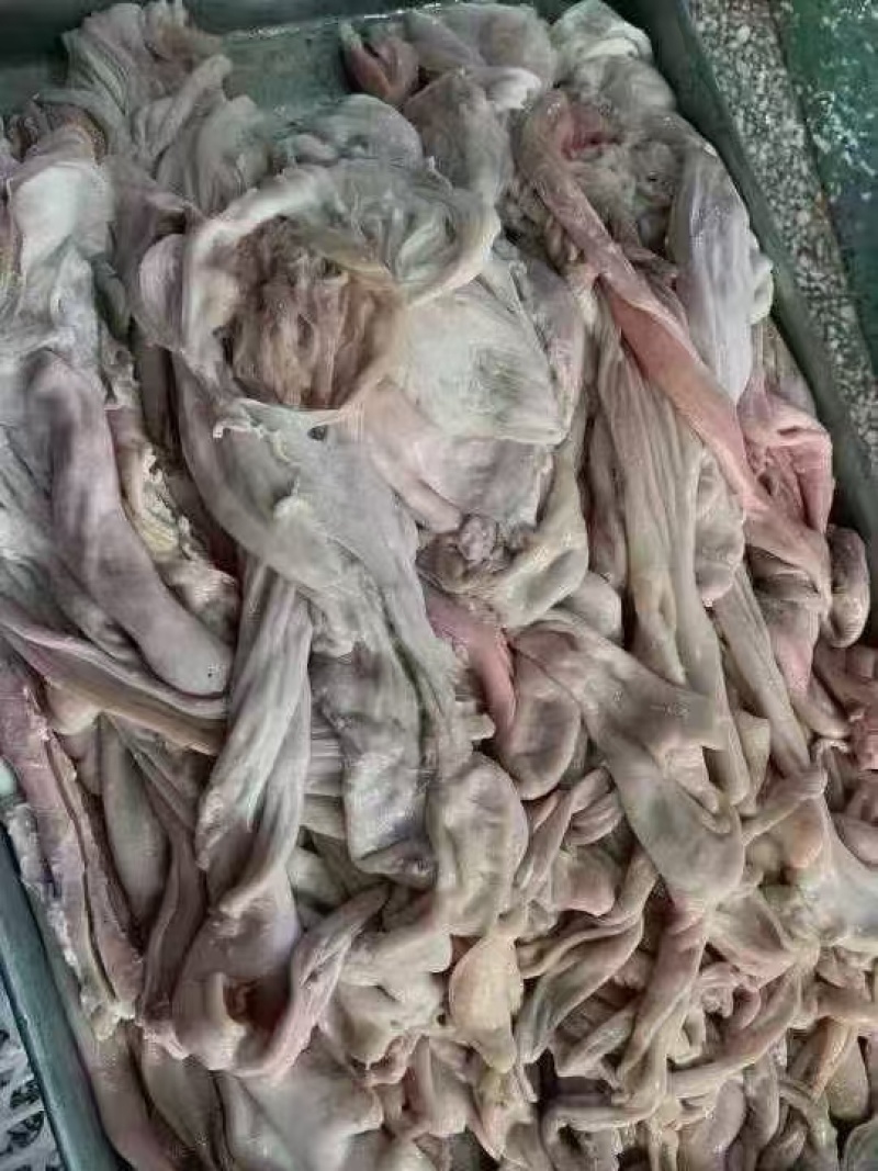 免洗生羊小肚，散袋红肠百叶都在，里外干净，控水