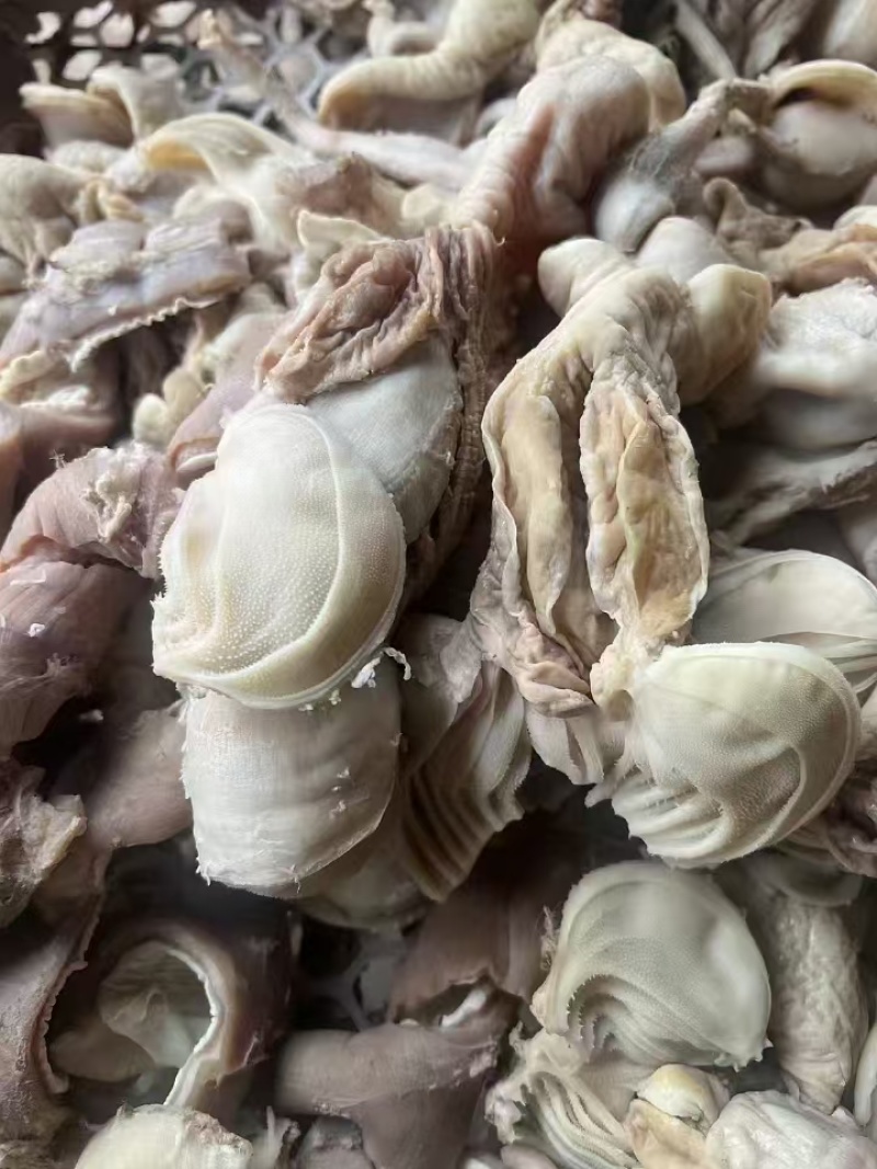 免洗生羊小肚，散袋红肠百叶都在，里外干净，控水