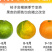 包邮【当天现摘】橘子水果新鲜薄皮无籽桔子酸甜蜜橘水果青皮