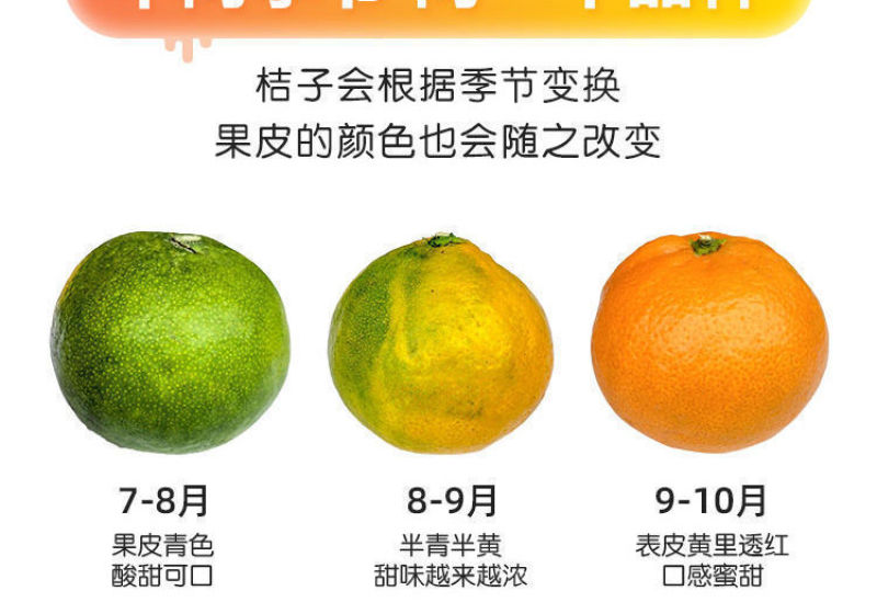 （包邮）云南无籽蜜桔新鲜橘子当季黄皮桔子小青桔整箱批发
