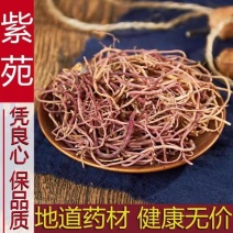 天然纯正紫苑中药材紫宛紫菀返魂草根子苑青菀