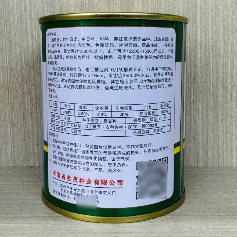 极早赤珠紫皮洋葱种子早熟高产水果洋葱种籽球大扁厚中日照品