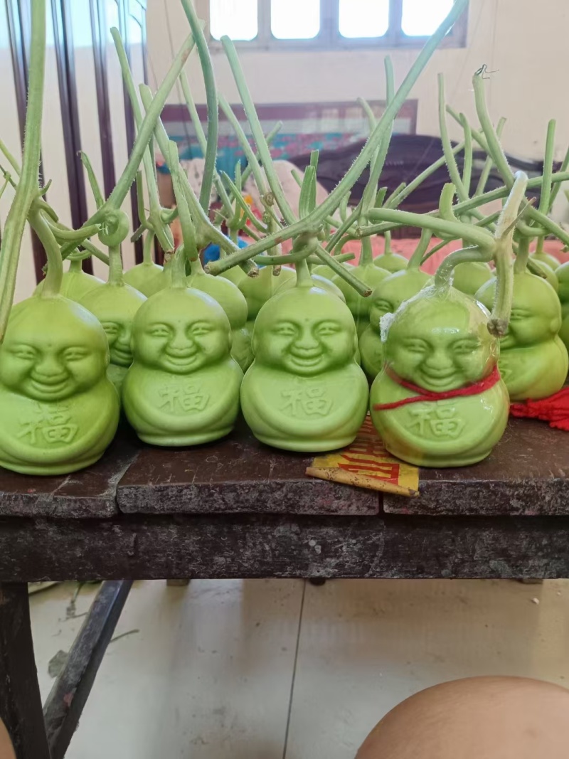正宗山东福娃人参果又脆又好看产地供应质量保证精品