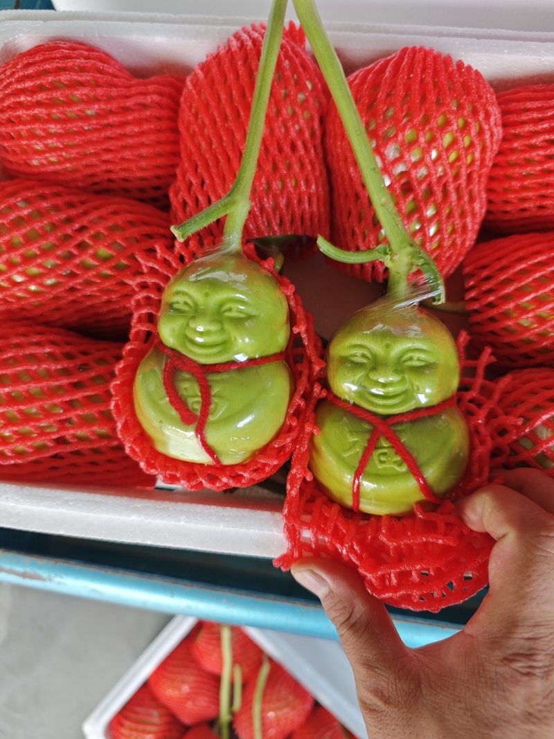正宗山东福娃人参果又脆又好看产地供应质量保证精品