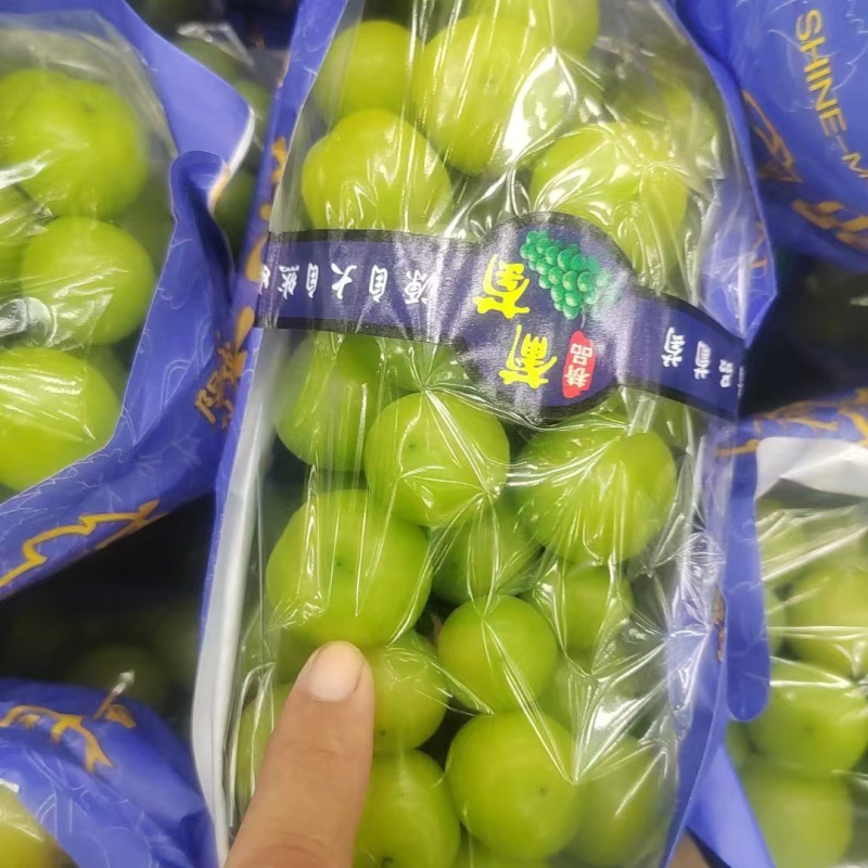 精品阳光玫瑰葡萄货源充足量大从优质量保证欢迎咨询
