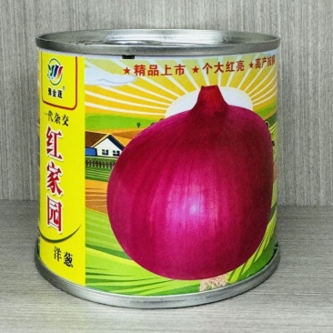 红家园大果型洋葱种子中日照二红洋葱种籽矮杆耐储运杆细球大