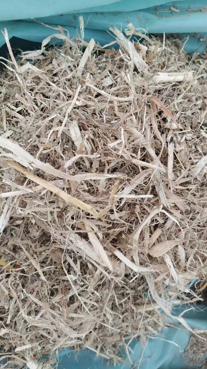 【优选】干玉米秸秆草料，河北灵寿大量现货供应，欢迎来电订购