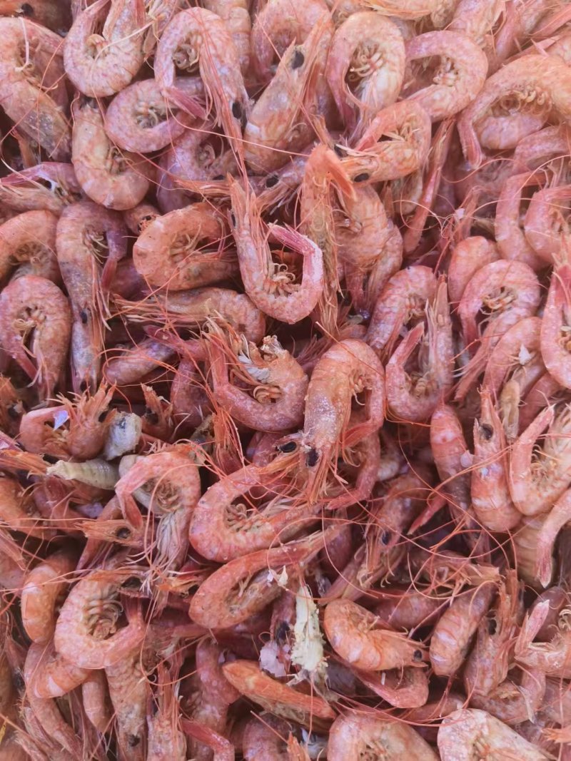 铁皮虾，也叫红虾，可作油炸原料虾