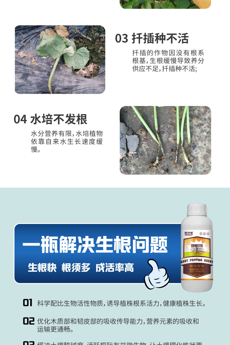 生根剂壮苗根多多生根水果蔬菜通用爆发生根含氨基酸水溶肥