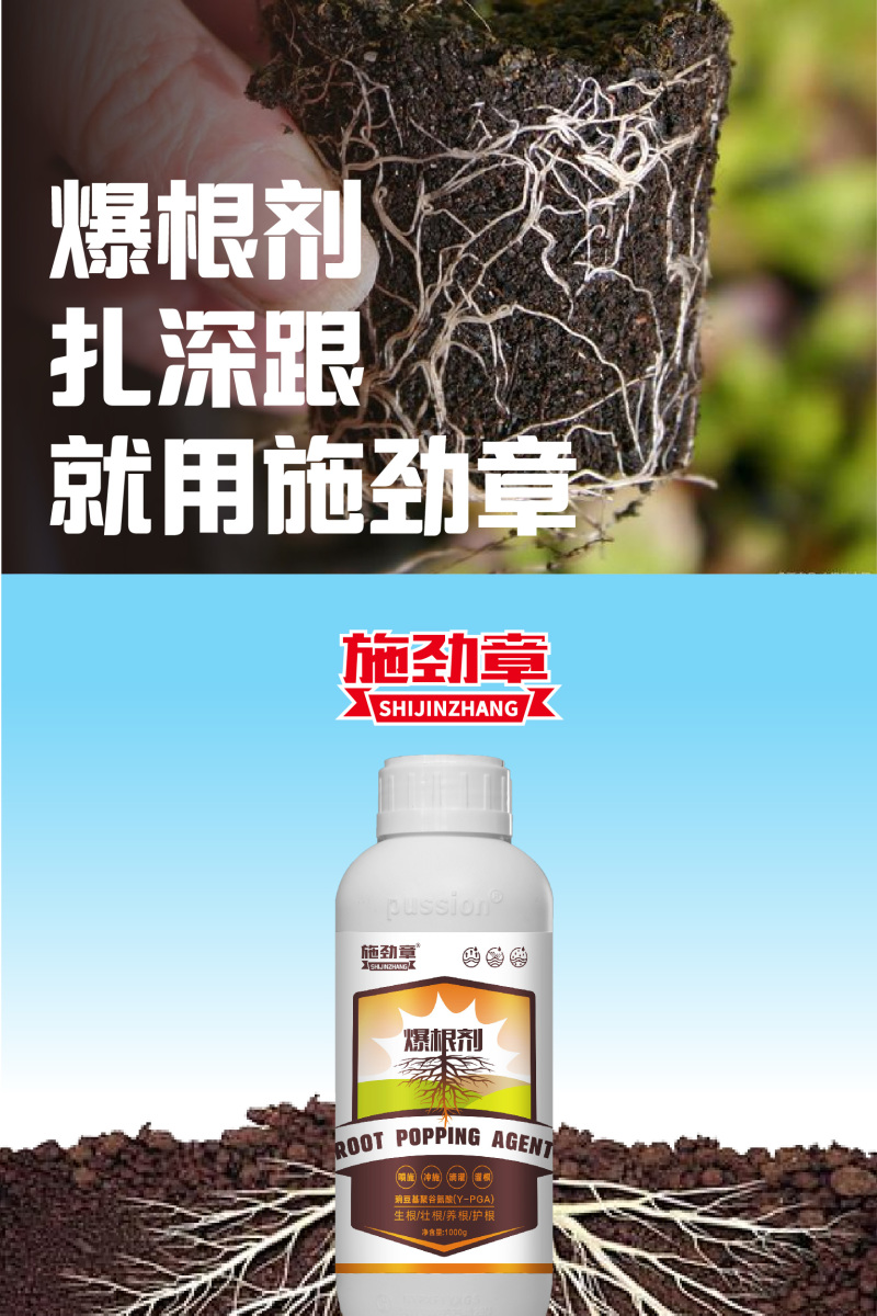 生根剂壮苗根多多生根水果蔬菜通用爆发生根含氨基酸水溶肥