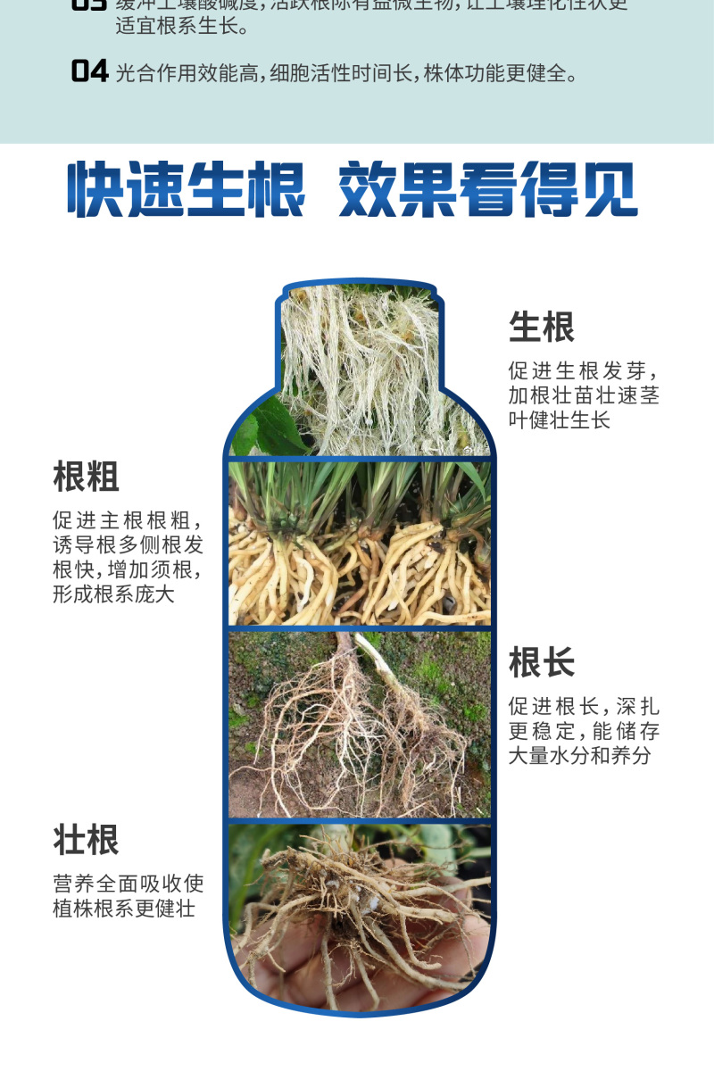 生根剂壮苗根多多生根水果蔬菜通用爆发生根含氨基酸水溶肥