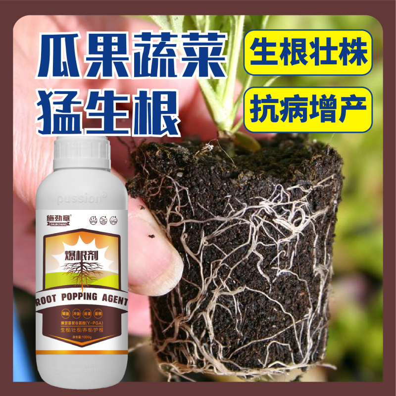生根剂壮苗根多多生根水果蔬菜通用爆发生根含氨基酸水溶肥