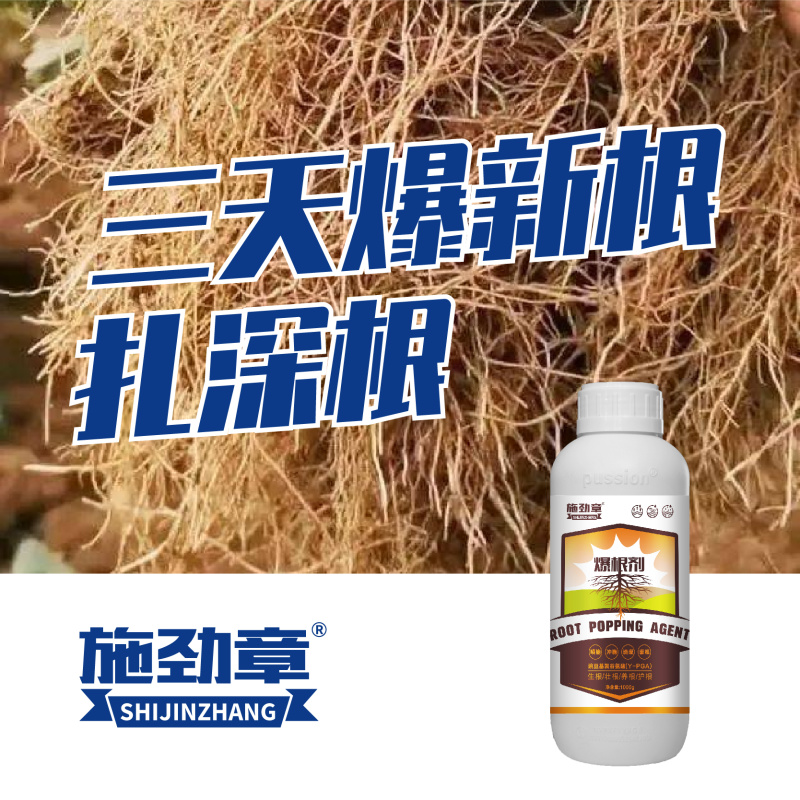 生根剂壮苗根多多生根水果蔬菜通用爆发生根含氨基酸水溶肥