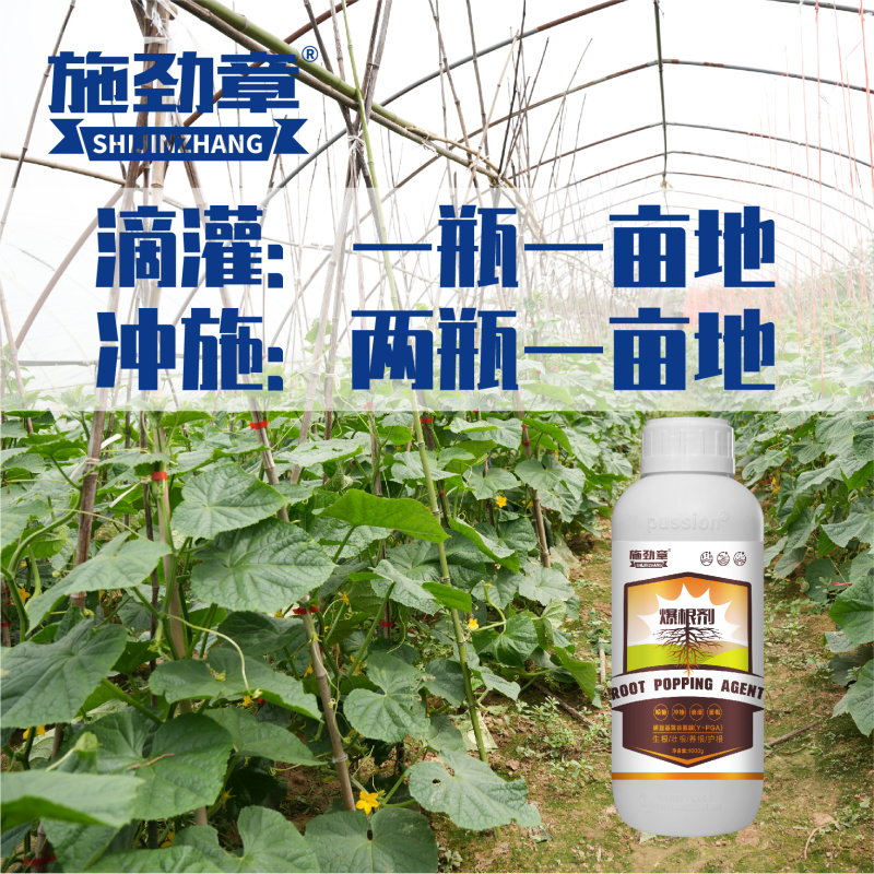 生根剂壮苗根多多生根水果蔬菜通用爆发生根含氨基酸水溶肥