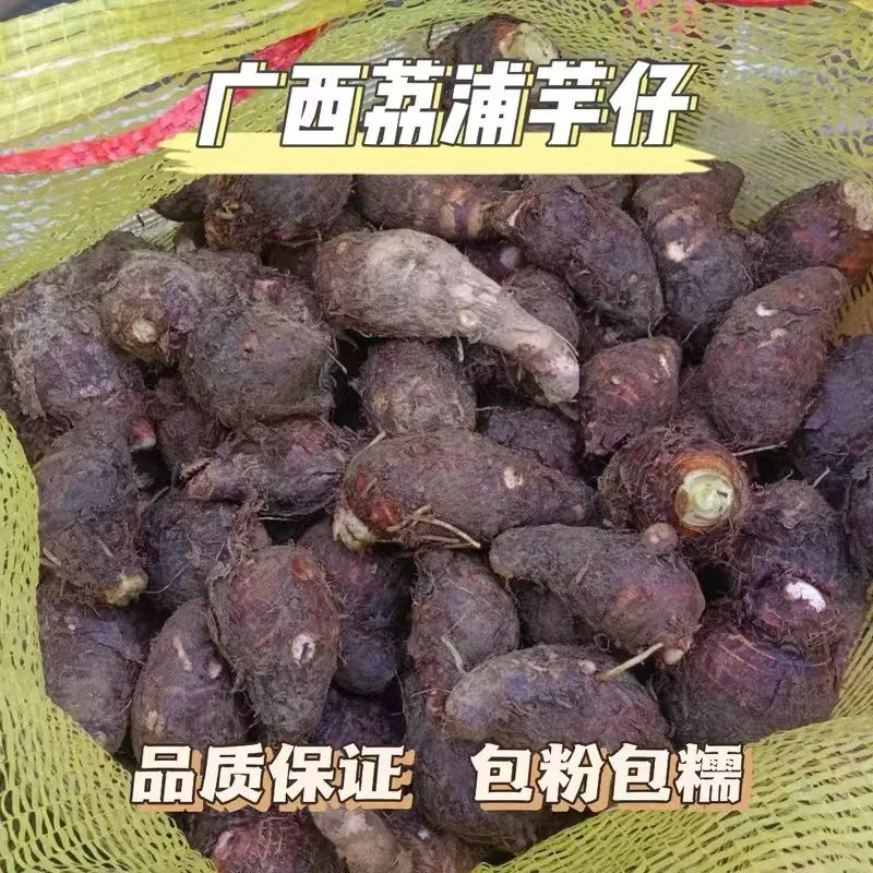 广西荔浦芋仔小香芋槟榔芋支持一件代发电商货