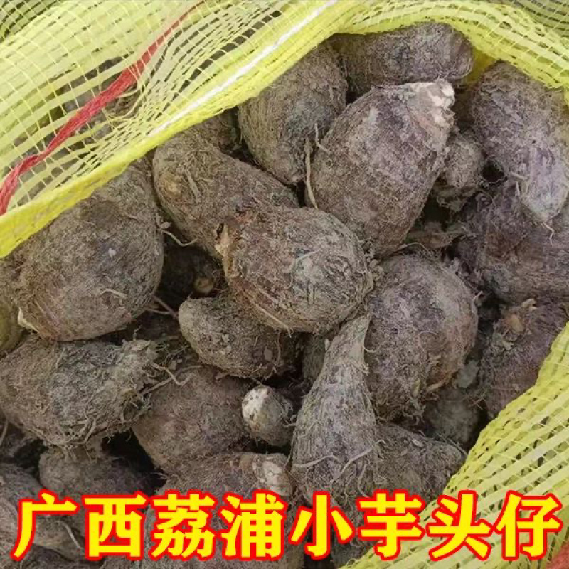 广西荔浦芋仔小香芋槟榔芋支持一件代发电商货