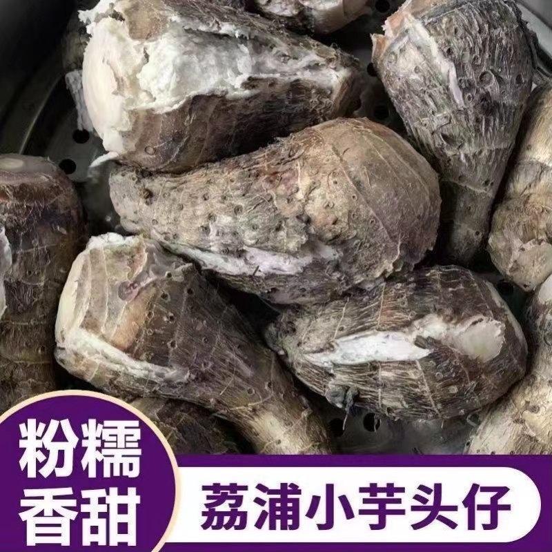 广西荔浦芋仔小香芋槟榔芋支持一件代发电商货