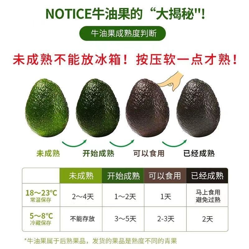 一件代发云南国产牛油果哈斯牛油果新鲜水果高山种植