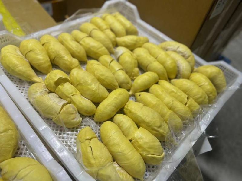 广西南宁金枕榴莲冻肉货量大全国接单承接加工电商直播带货