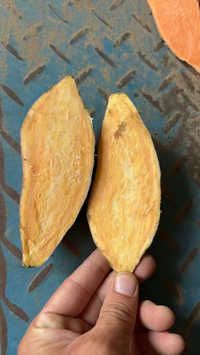 原产地龙九红薯，产地直发，有需要的老板联系