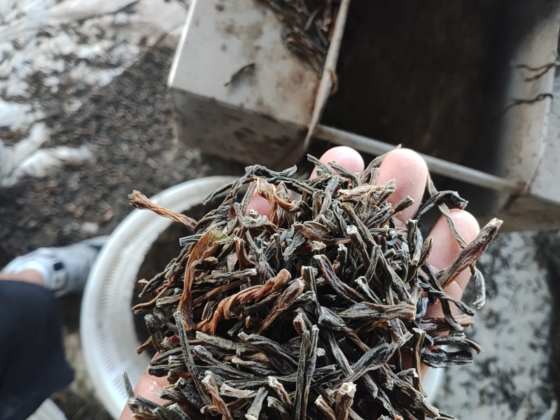 梅干菜，干豆角批发