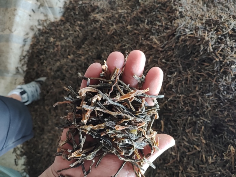 干豆角批发***********