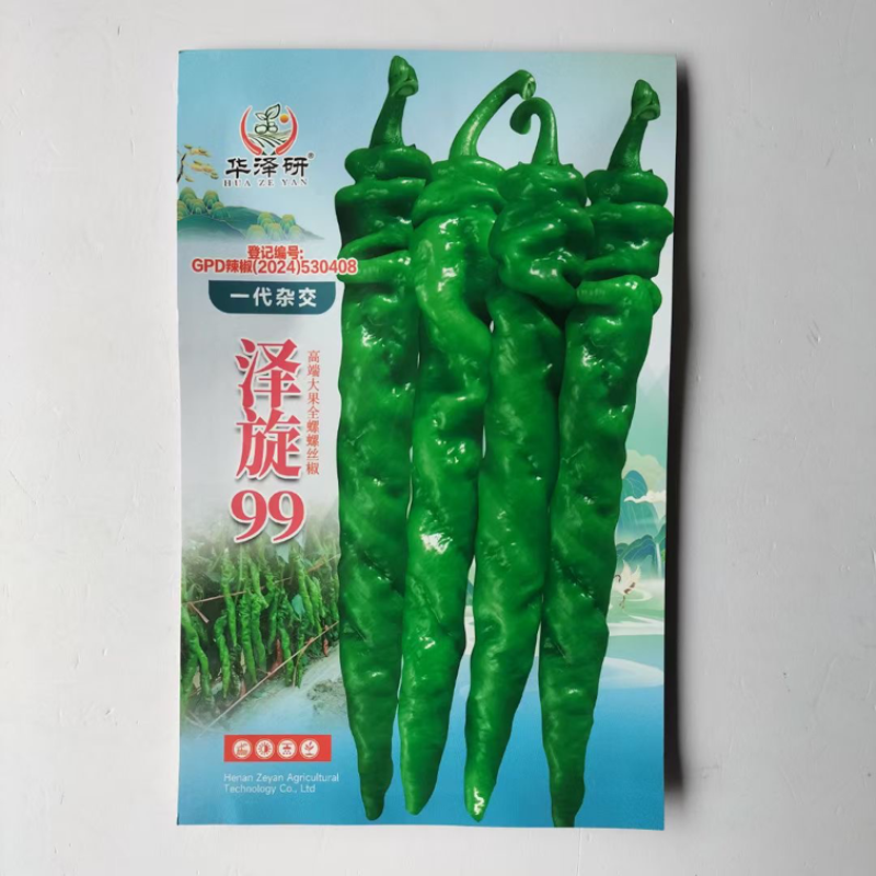 泽旋99螺丝椒品种香辣口感杂交一代全螺品种种子