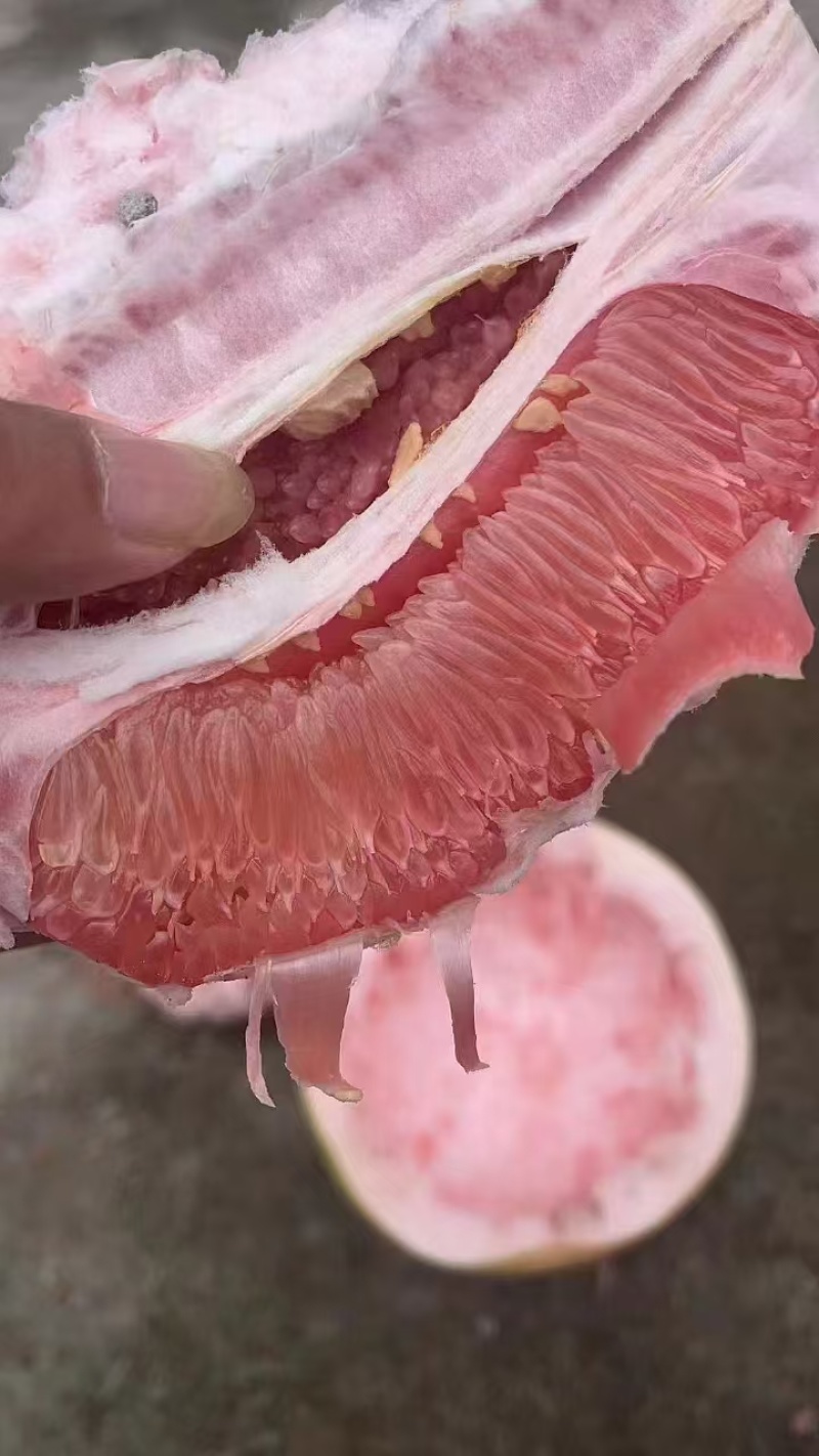 三红柚水份足，味道甜，皮皮薄，几乎纯甜欢迎来电选购
