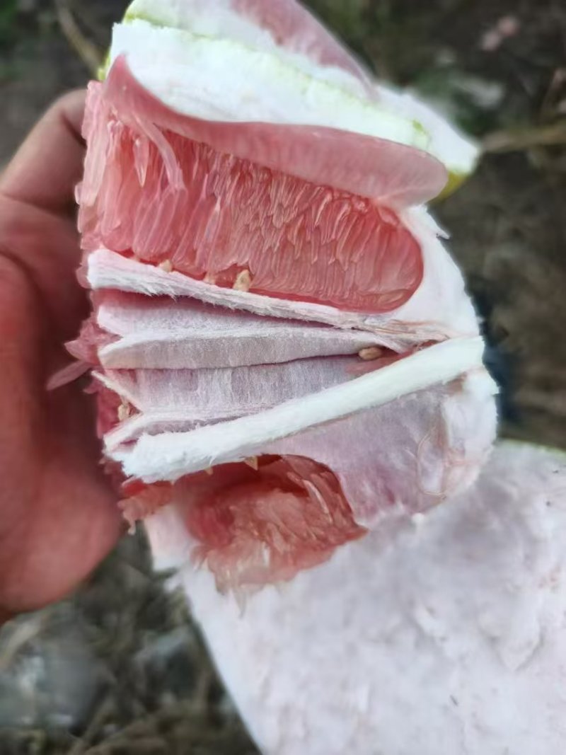 三红柚水份足，味道甜，皮皮薄，几乎纯甜欢迎来电选购