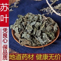 中药材苏叶正品紫苏叶紫苏子***新鲜干货泡茶