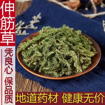 中药材特级野生伸筋草500g正品舒筋草