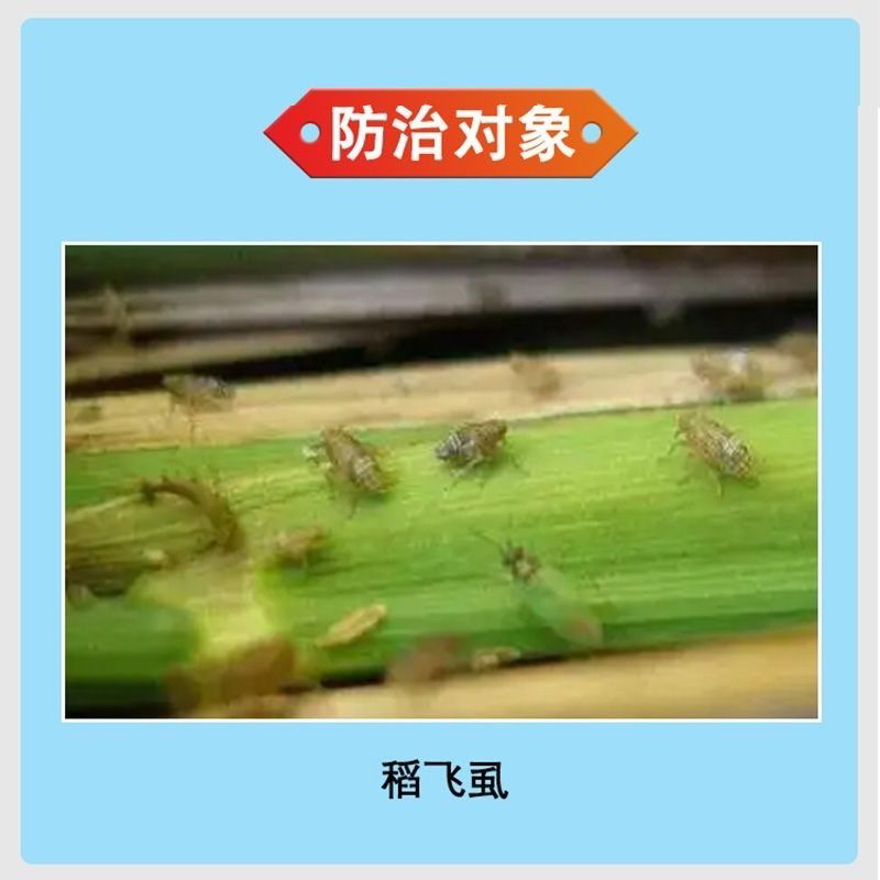 20%呋虫胺啶虫脒升级产品抗性白粉虱烟粉虱蚜虫等