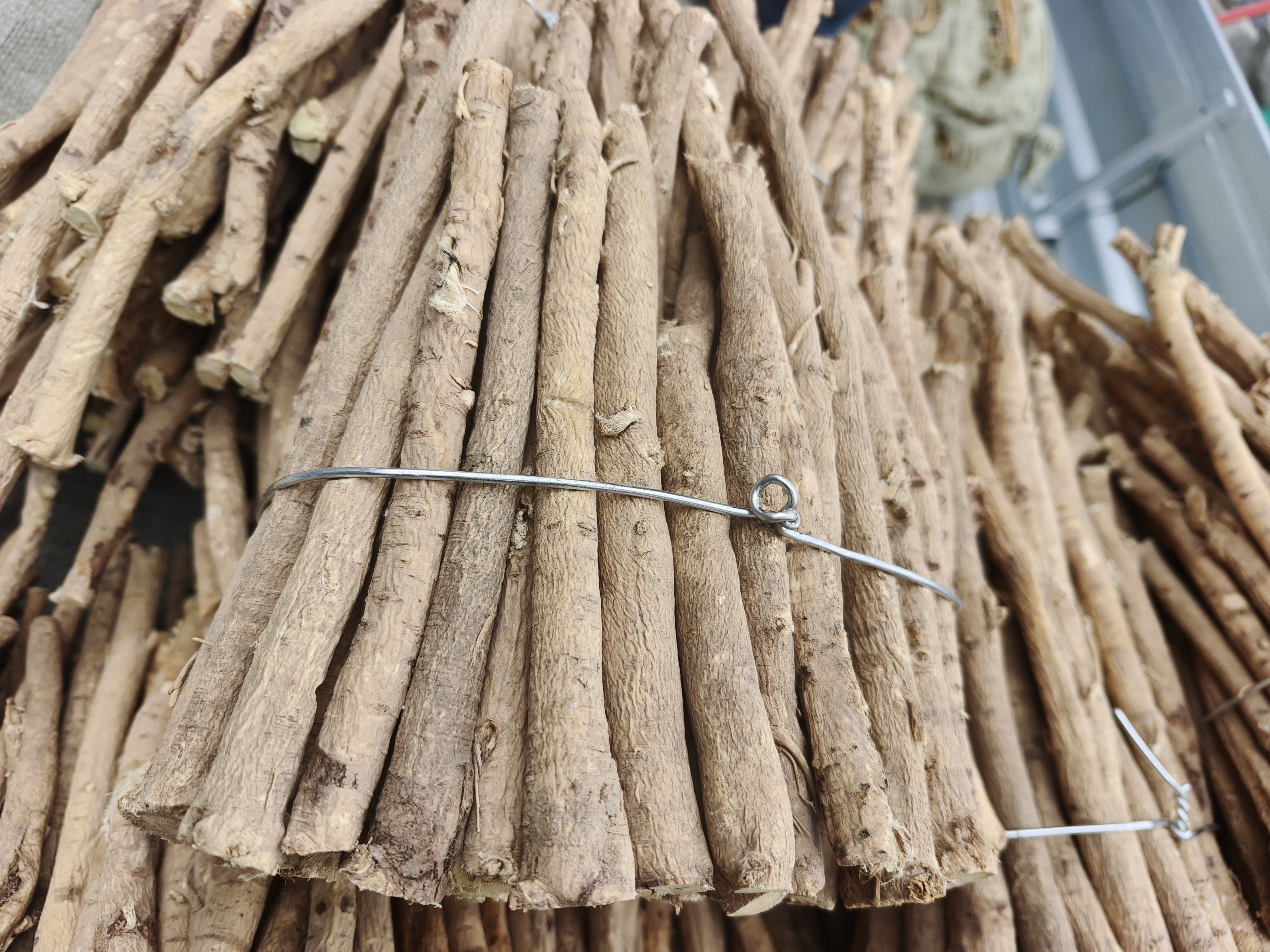 生地与熟地黄功效对比图表