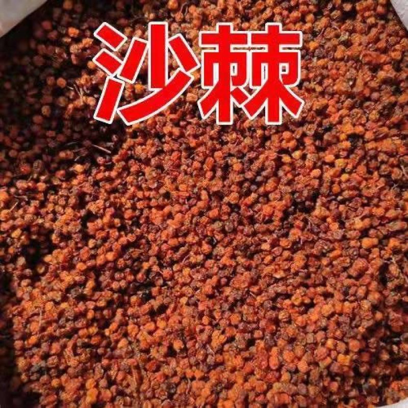 野生新疆沙棘果冻干果粉沙棘粉沙棘果