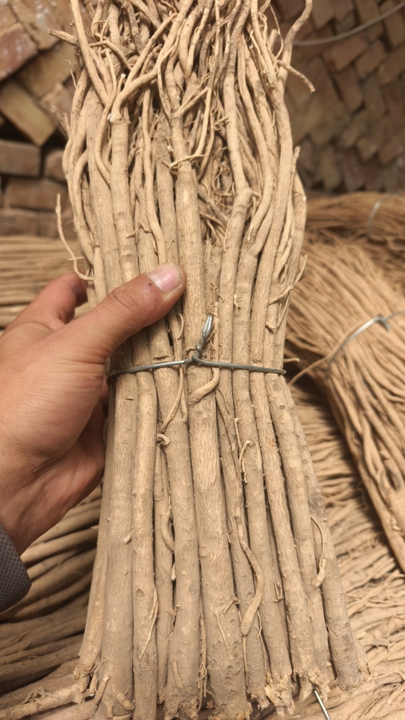 甘肃本地黄芪条，分为黑土地，黄土地种植，颜色有分辨