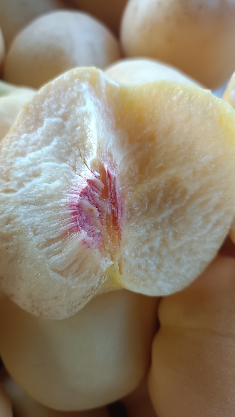 离核黄油桃