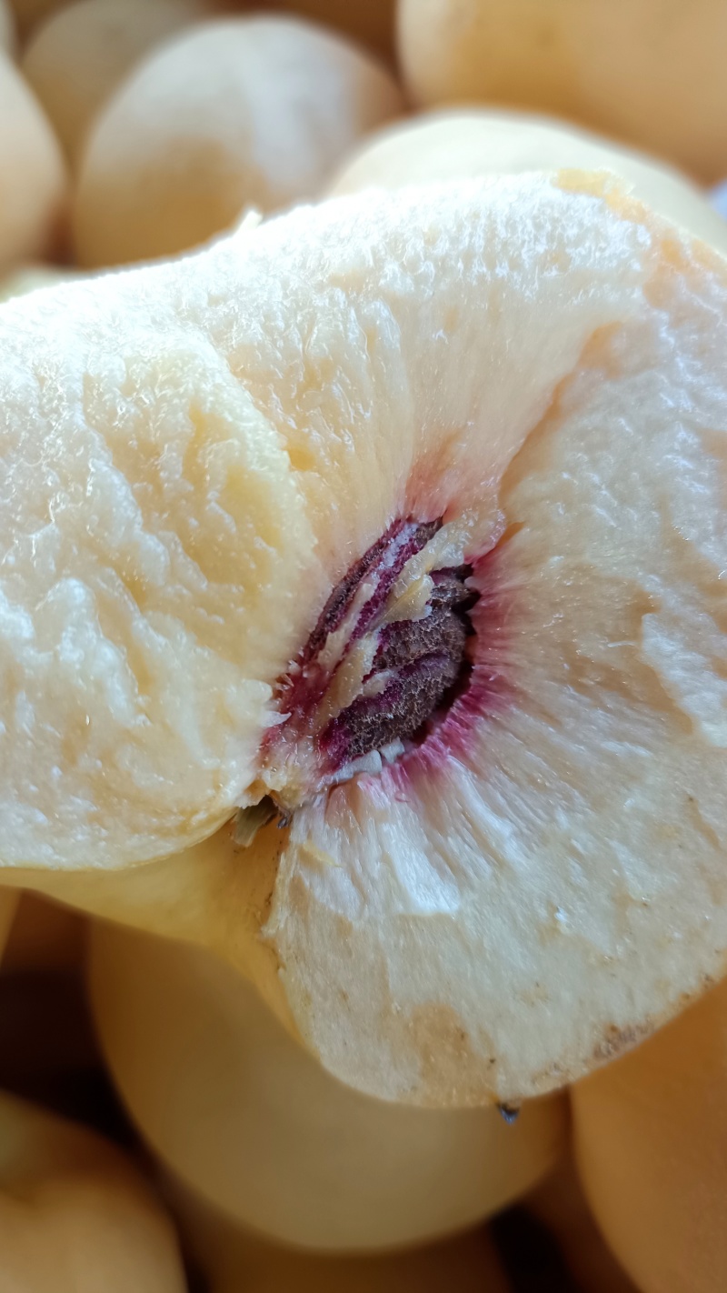 离核黄油桃
