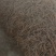 山东高含量黄芩