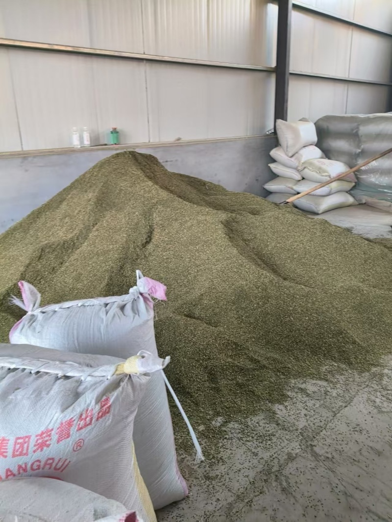 山东高含量槐米