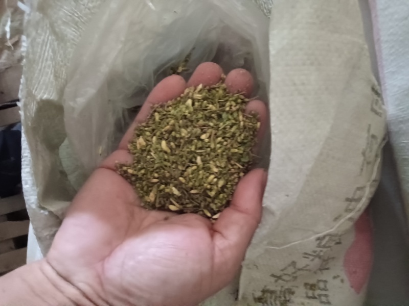 山东高含量槐米