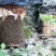 【包邮精品】土蜂蜜零售高山土蜂蜜量大从优可视频看货