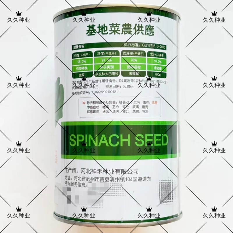 法莲草杂交菠菜种子耐热耐寒叶片肥厚浓绿有光泽无涩味大棚种